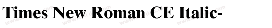 Times New Roman CE Italic字体转换
